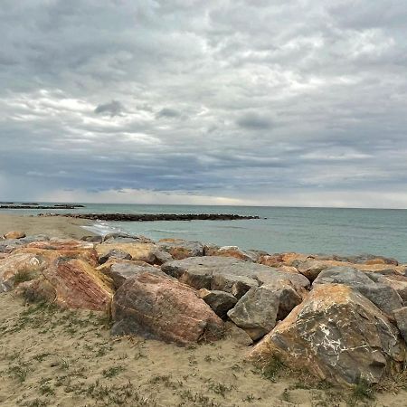 Port Barcares Vue Port Et Mer Le Barcarès Extérieur photo