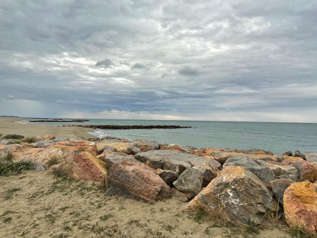 Port Barcares Vue Port Et Mer Le Barcarès Extérieur photo